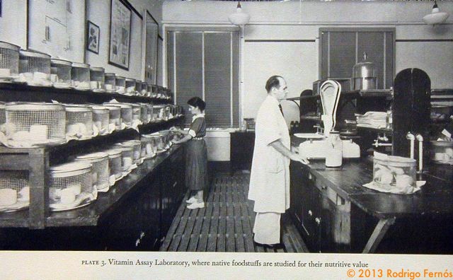 Vitamin Assay Laboratory